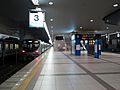 Kansai Airport Station Platform 20140626