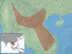 Kerivoula titania distribution (colored).png