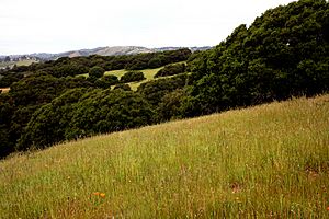 Knowland Park in Oakland California