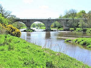 Laigh Milton Viaduct - geograph.org.uk - 5769058