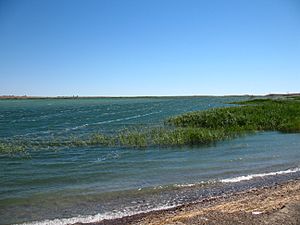 Lake Balkhash May 2007 2