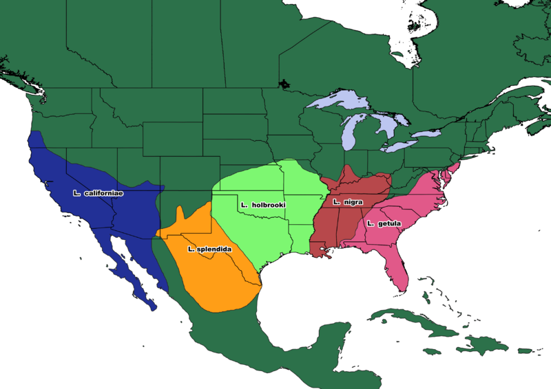 Lampropeltis getula complex distribution map