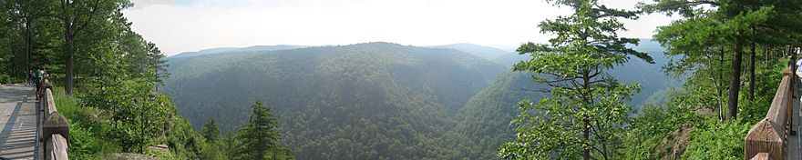 a panoramic view of a wooded gorge, on the left and right is a wooden fence with several visitors standing at an overlook, also on the left is a paved platform, the gorge is covered with green trees