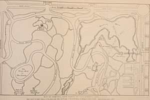 McGown's pass and vicinity - a sketch of the most interesting scenic and historic section of Central Park in the city of New York (1905) (14761627746)