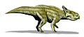 Montanoceratops BW