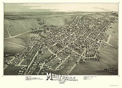 Montrose-1