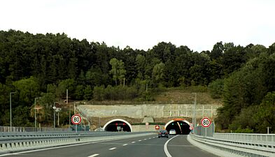 Motorway A2 (Serbia), Tunnel Savinac
