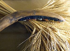 NHM - Jungsteinzeit Sichel 2