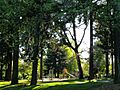Oregon Park Playground Equipment