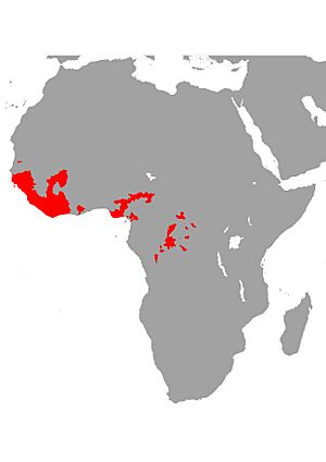 Papyrocranus afer Map.jpg