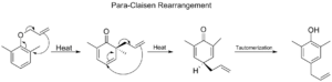 Paraclaisenfixed
