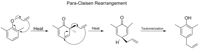 Para-Claisen Rearrangement