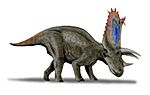 Pentaceratops BW