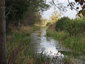 Prees Branch linear nature reserve - geograph.org.uk - 601650