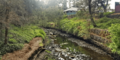 Prospectcreek
