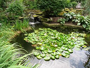 Rodef Shalom Biblical Botanical Garden - IMG 1330