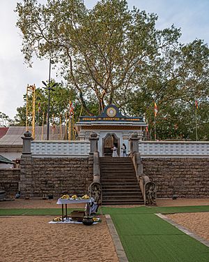 SL Anuradhapura asv2020-01 img01 Jaya Sri Maha Bodhi