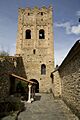 Saint-Martin-du-Canigou-PM 45714