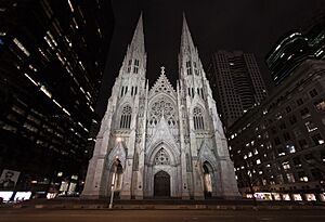 Saint Patrick's Cathedral, looking upwards