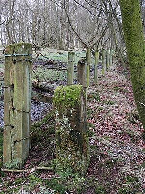 Scots Dyke boundary stone - geograph.org.uk - 353756