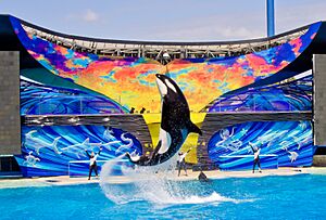 SeaWorld San Diego5