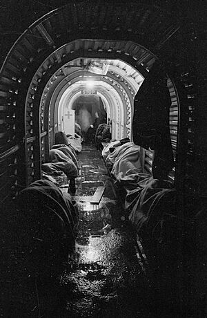 Shelter Photographs Taken in London by Bill Brandt, November 1940 D1553