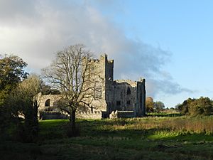 Southern face of Tintern Abbey, Co Wexford
