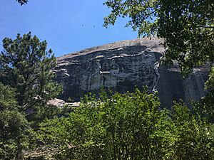 Stone Mountain View through trees