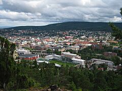 Sundsvall100731