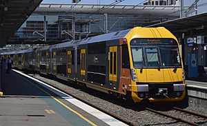 Sydney Trains A Set at Ashfield (cropped)