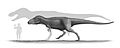 Tarbosaurus Steveoc86