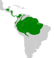 Terenotriccus erythrurus map