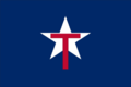 Texas State Guard Flag