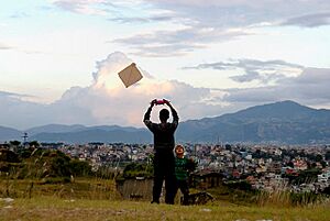 Thrill-of-flying-kites 640