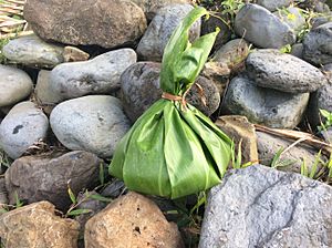 Ti leaf bundle