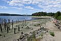 Titlow Beach, May 2020