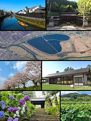 Tochigi City Montage.jpg
