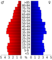 USA Gibson County, Tennessee.csv age pyramid