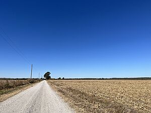 N 1600 Rd in Weaver Bottoms