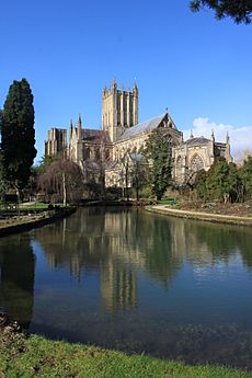 Wells Cathedral in the reflecting pool in the grounds of the Bishops Palace