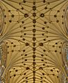 Winchester Cathedral prebystery vault