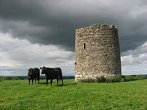 Windmill at Garristown, Co. Dublin - geograph.org.uk - 846350