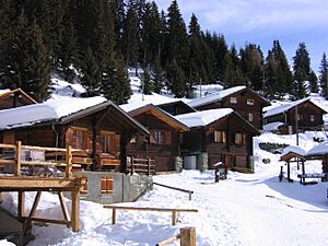 Wood Cottages Verbier Valais 074