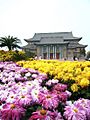 菊花与河南大学大礼堂