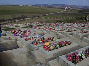 089 albanian graves kosovo