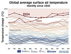 1940-2024 Global surface temperature - stacked - Copernicus