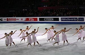 2015 Grand Prix of Figure Skating Final Team Paradise IMG 9903.JPG
