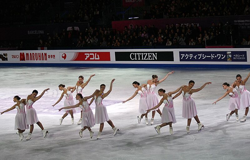 2015 Grand Prix of Figure Skating Final Team Paradise IMG 9903
