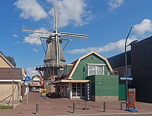 Aalsmeer, stellingmolen De Leeuw RM6841 foto4 2015-08-28 15.55
