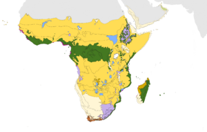 Afrotropical biomes
